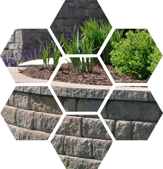 holding-flower-pot